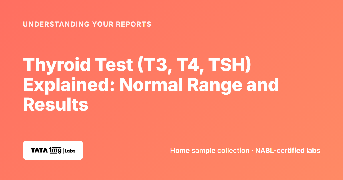 Thyroid test T3, T4 and TSH explained